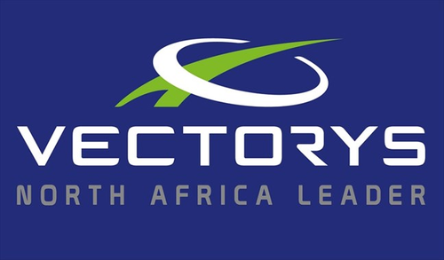 Logo Vectorys